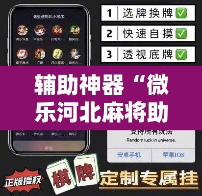 辅助神器“微乐河北麻将助赢神器购买”(透视挂)辅助透视教程