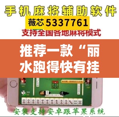 推荐一款“丽水跑得快有挂	”(透视挂)辅助透视教程