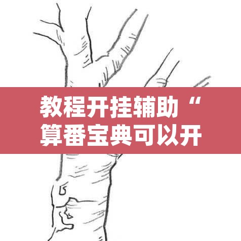 教程开挂辅助“算番宝典可以开挂吗	”(透视挂)辅助透视教程
