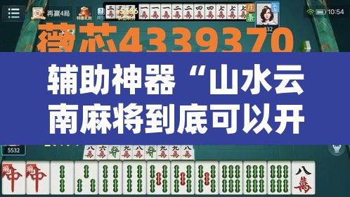 辅助神器“山水云南麻将到底可以开挂吗”(透视挂)辅助透视教程