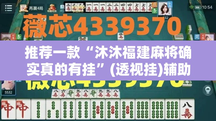 推荐一款“沐沐福建麻将确实真的有挂”(透视挂)辅助透视教程