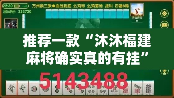 推荐一款“沐沐福建麻将确实真的有挂”(透视挂)辅助透视教程