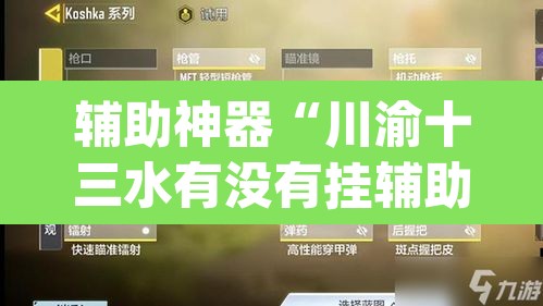 辅助神器“川渝十三水有没有挂辅助”(透视挂)辅助透视教程