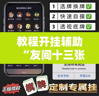 教程开挂辅助“友间十三张究竟到底有没有挂”(透视挂)辅助透视教程