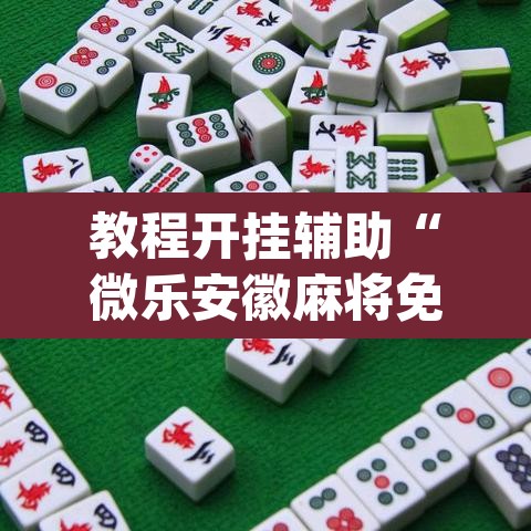 教程开挂辅助“微乐安徽麻将免费挂下载”(透视挂)辅助透视教程