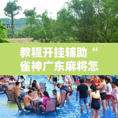 教程开挂辅助“雀神广东麻将怎么买挂	”(透视挂)辅助透视教程