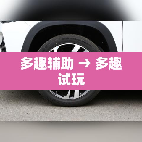 多趣辅助 → 多趣试玩 多趣辅助 → 多趣试玩