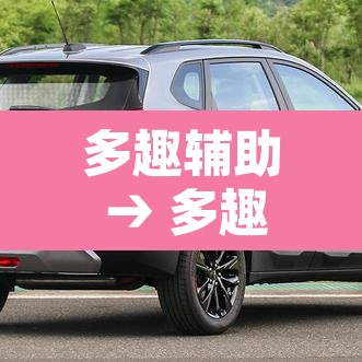 多趣辅助 → 多趣试玩 多趣辅助 → 多趣试玩