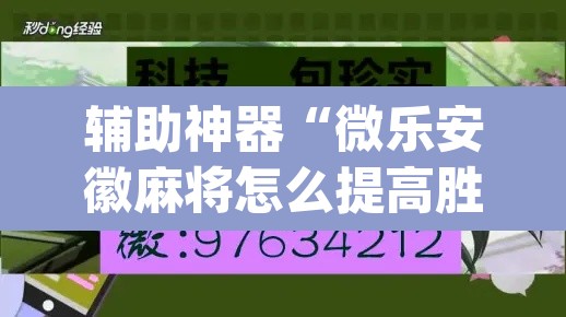 辅助神器“微乐安徽麻将怎么提高胜率”(透视挂)辅助透视教程