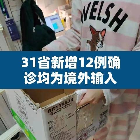 31省新增12例确诊均为境外输入：31省新增确诊病例境外输入