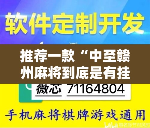 推荐一款“中至赣州麻将到底是有挂吗”(透视挂)辅助透视教程