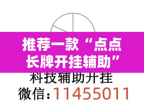 推荐一款“点点长牌开挂辅助”(透视挂)辅助透视教程