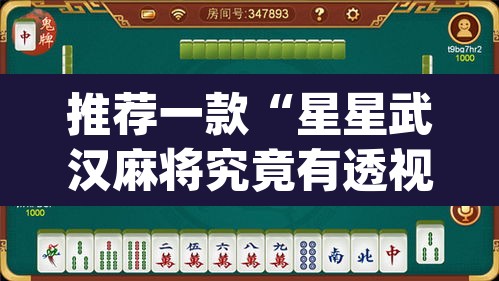 推荐一款“星星武汉麻将究竟有透视挂吗	”(透视挂)辅助透视教程