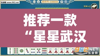 推荐一款“星星武汉麻将究竟有透视挂吗”(透视挂)辅助透视教程