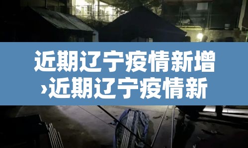 近期辽宁疫情新增›近期辽宁疫情新增病例 近期辽宁疫情新增›近期辽宁疫情新增病例
