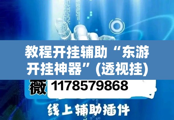 教程开挂辅助“东游开挂神器	”(透视挂)辅助透视教程