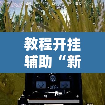 教程开挂辅助“新全游是不是有挂”(透视挂)辅助透视教程