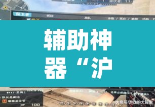 辅助神器“沪州大贰开挂神器”(透视挂)辅助透视教程
