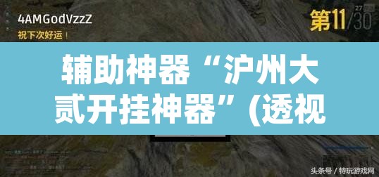 辅助神器“沪州大贰开挂神器”(透视挂)辅助透视教程