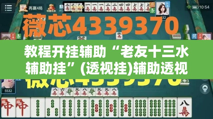 教程开挂辅助“老友十三水辅助挂”(透视挂)辅助透视教程