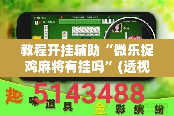 教程开挂辅助“微乐捉鸡麻将有挂吗”(透视挂)辅助透视教程