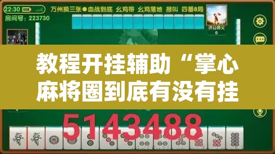 教程开挂辅助“掌心麻将圈到底有没有挂”(透视挂)辅助透视教程