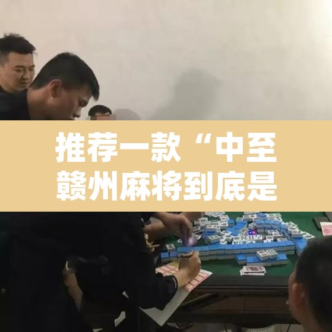推荐一款“中至赣州麻将到底是有挂吗	”(透视挂)辅助透视教程