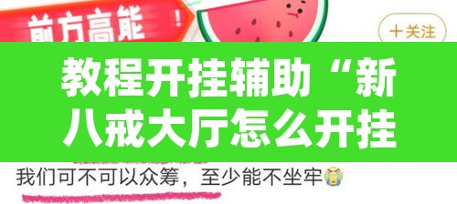 教程开挂辅助“新八戒大厅怎么开挂”(透视挂)辅助透视教程