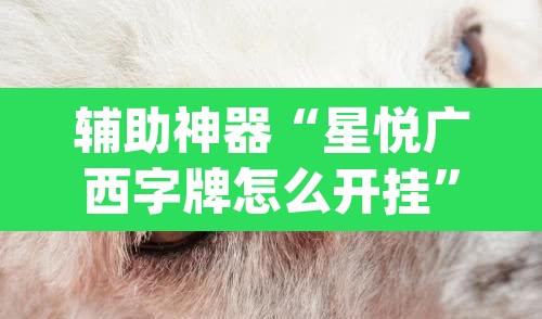辅助神器“星悦广西字牌怎么开挂”(透视挂)辅助透视教程