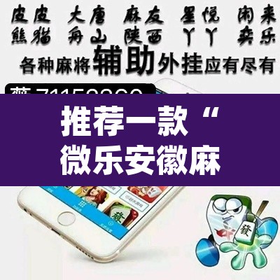 推荐一款“微乐安徽麻将万能开挂器	”(透视挂)辅助透视教程