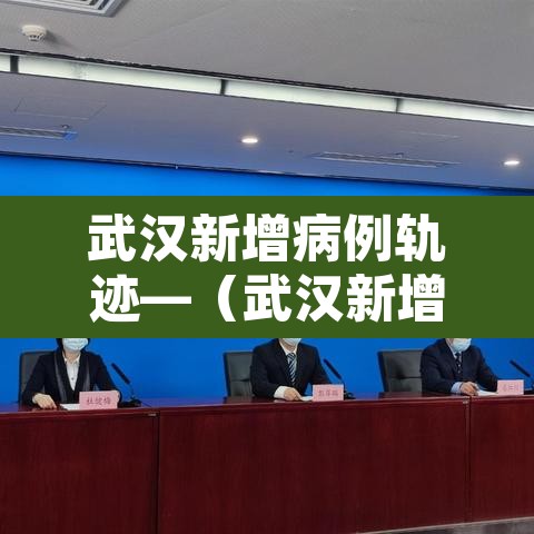武汉新增病例轨迹—(武汉新增病例报告) 武汉新增病例轨迹—(武汉新增病例报告)