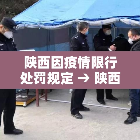 陕西因疫情限行处罚规定 → 陕西疫情防控交通管制通告