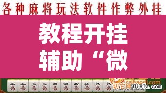 教程开挂辅助“微乐广西麻将万能开挂器通用版	”(透视挂)辅助透视教程