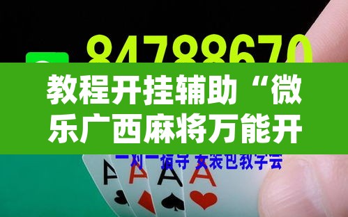 教程开挂辅助“微乐广西麻将万能开挂器通用版”(透视挂)辅助透视教程