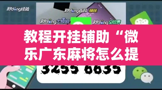 教程开挂辅助“微乐广东麻将怎么提高胜率	”(透视挂)辅助透视教程