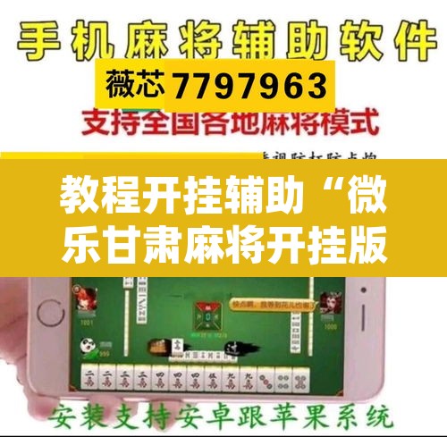 教程开挂辅助“微乐甘肃麻将开挂版本”(透视挂)辅助透视教程
