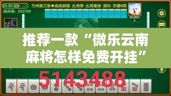 推荐一款“微乐云南麻将怎样免费开挂”(透视挂)辅助透视教程
