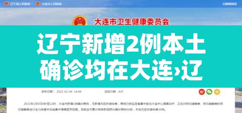 辽宁新增2例本土确诊均在大连›辽宁新增11例本土确诊病例均在大连