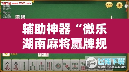 辅助神器“微乐湖南麻将赢牌规律是啥”(透视挂)辅助透视教程