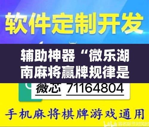 辅助神器“微乐湖南麻将赢牌规律是啥”(透视挂)辅助透视教程