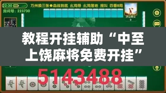 教程开挂辅助“中至上饶麻将免费开挂	”(透视挂)辅助透视教程