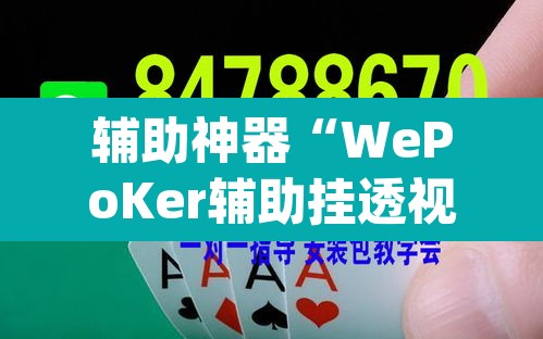 辅助神器“WePoKer辅助挂透视软件	”(透视挂)辅助透视教程