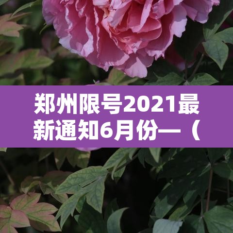 郑州限号2021最新通知6月份—(郑州限号2021限号时间) 郑州限号2021最新通知6月份—(郑州限号2021限号时间)
