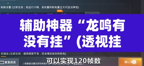 辅助神器“龙鸣有没有挂”(透视挂)辅助透视教程