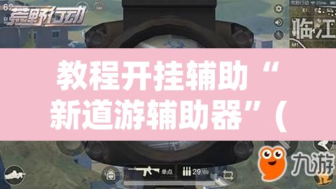 教程开挂辅助“新道游辅助器”(透视)其实确实有挂