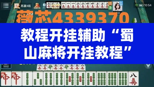 教程开挂辅助“蜀山麻将开挂教程”(透视)其实确实有挂