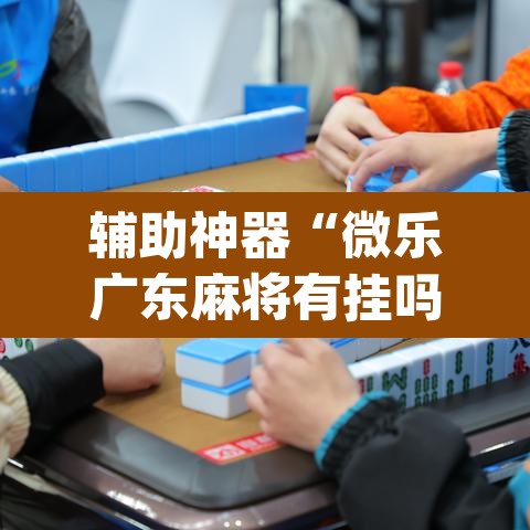辅助神器“微乐广东麻将有挂吗	”(透视挂)辅助透视教程