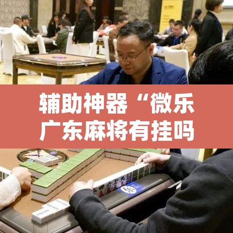 辅助神器“微乐广东麻将有挂吗	”(透视挂)辅助透视教程