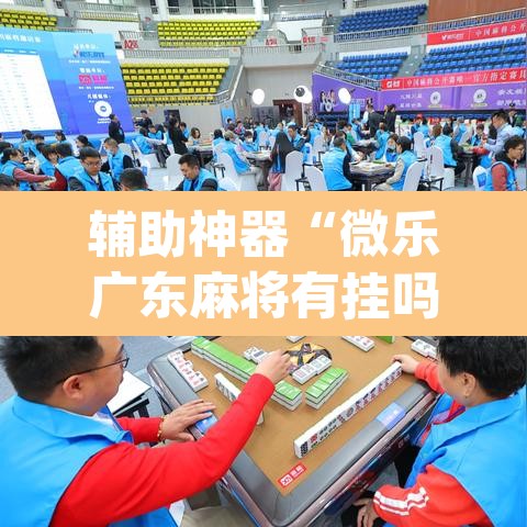辅助神器“微乐广东麻将有挂吗”(透视挂)辅助透视教程