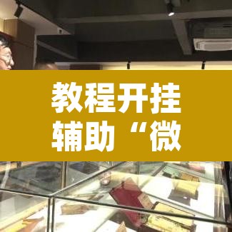 教程开挂辅助“微乐安徽麻将万能开挂器通用版”其实确实有挂